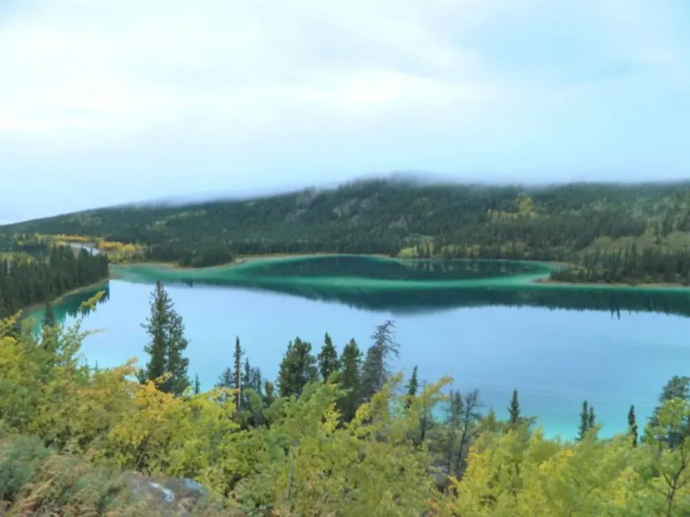 Private Tour - Explore the Yukon & Carcross - 3