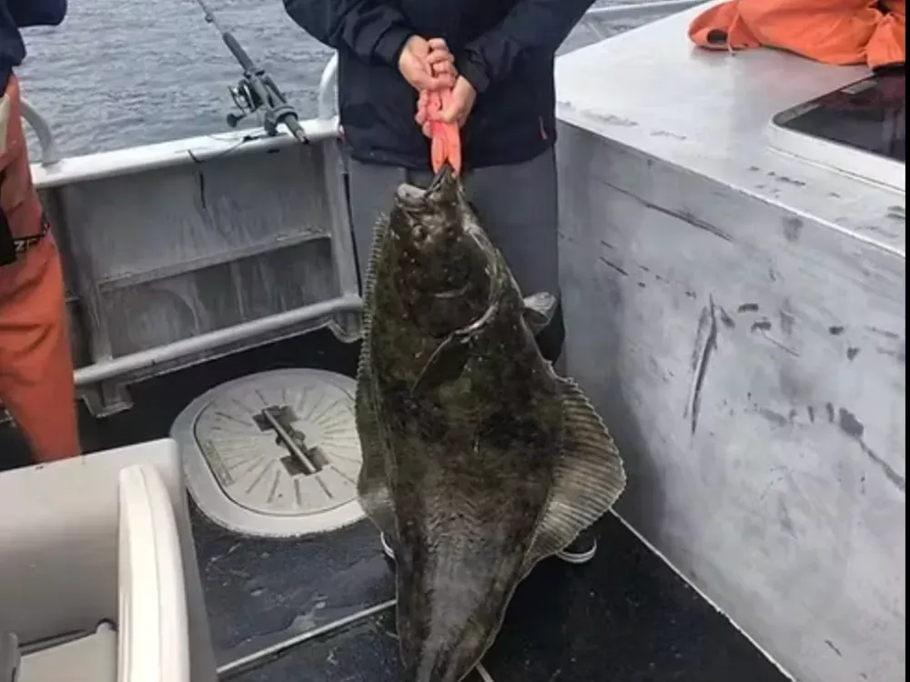 Salmon & Halibut Fishing Charter - 3
