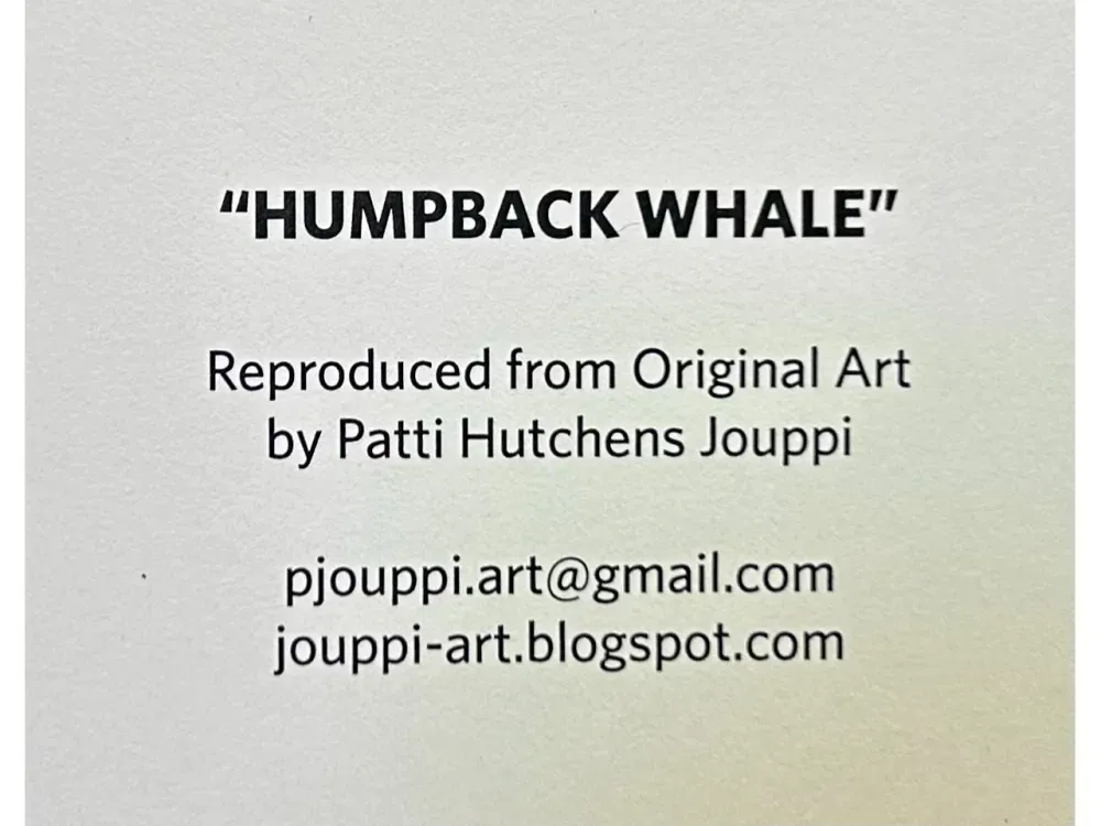 Sealife Cards,  Humpback Whale - 2