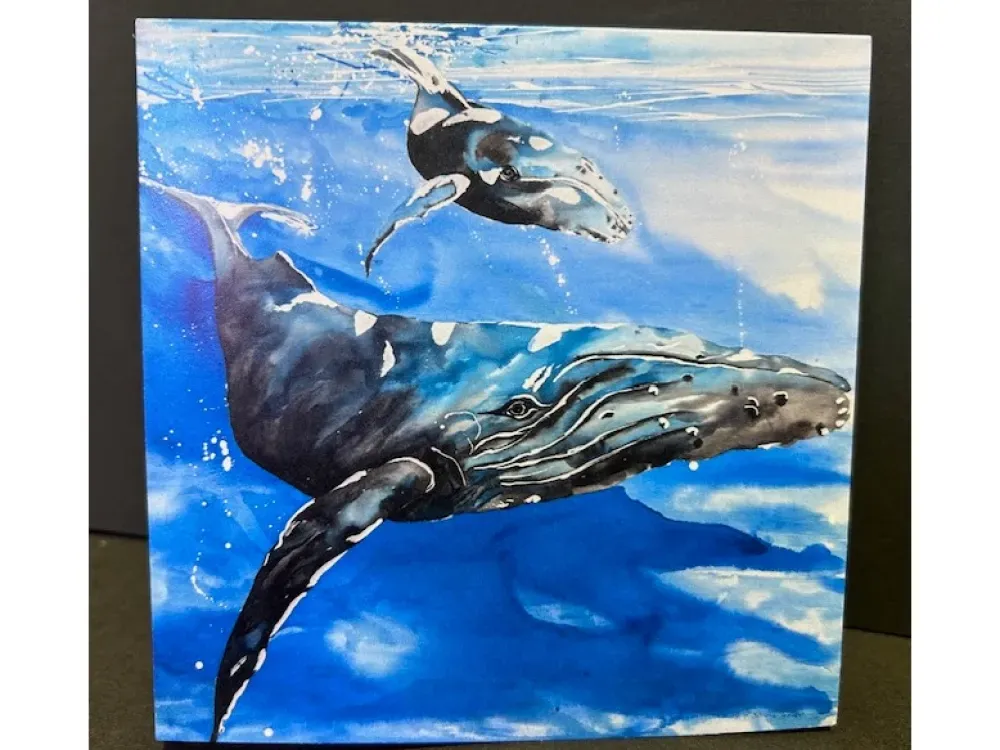 Sealife Cards,  Humpback Whales - 1