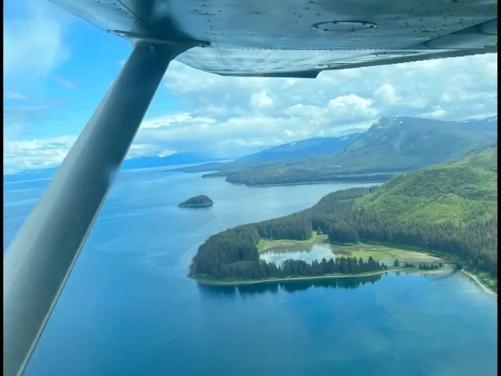 Glacier Bay Bush Plane Fly-in: River Fish / Bear Watch - 2