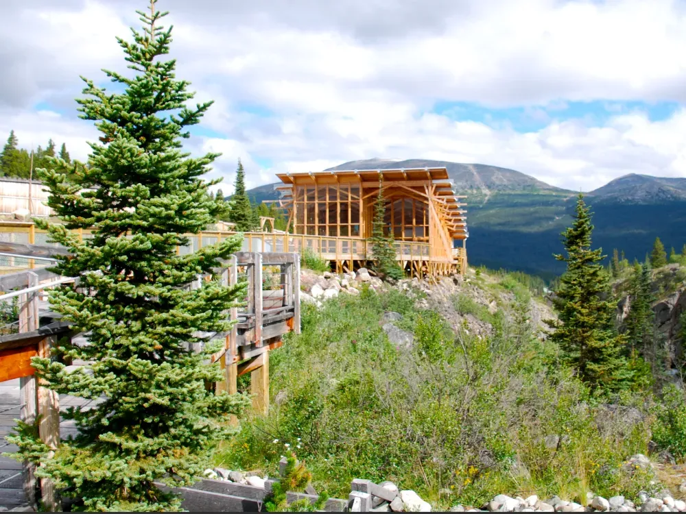 Yukon Adventure and Suspension Bridge - 3
