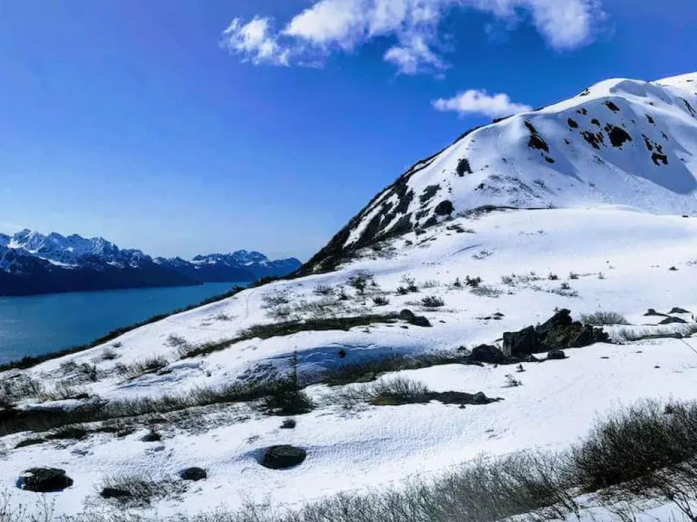 Seward Wilderness Hiking - 5