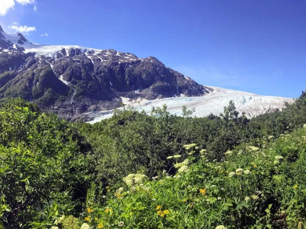 Seward Wilderness Hiking - 2