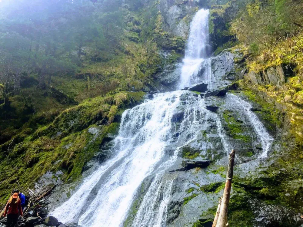 Seward Wilderness Hiking - 4