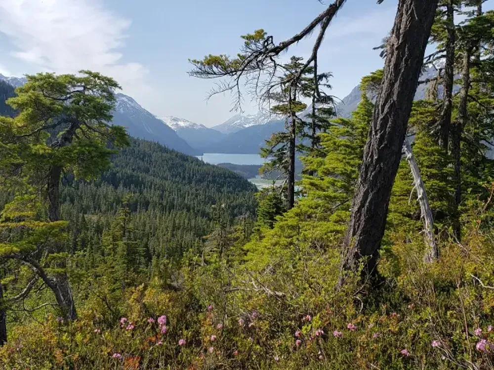 Takshanuk ATV Tour from Haines - 3