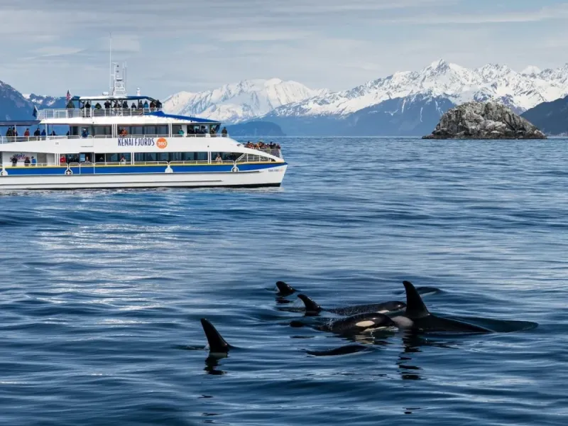 Kenai Fjords Wildlife Cruise - 4 hours