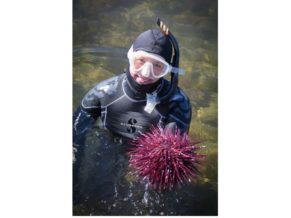 The Mountain Point Snorkeling Adventure - 5