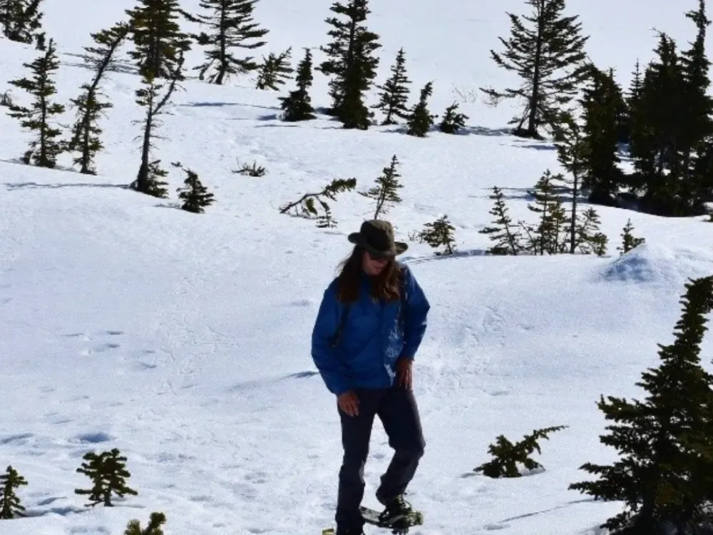 Laughton Glacier Snowshoe Expedition - 1