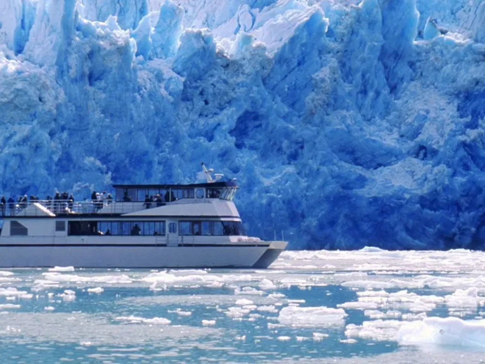 Tracy Arm Fjord & Glacier Explorer - 1