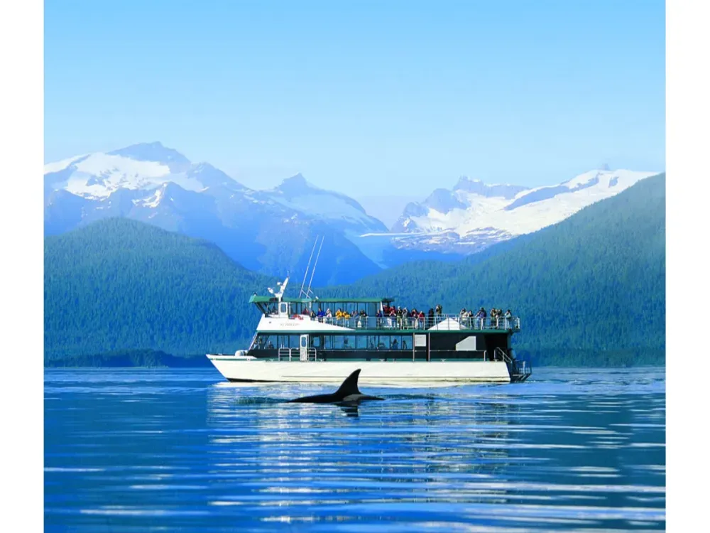 Whale Quest & Orca Point Lodge - 2