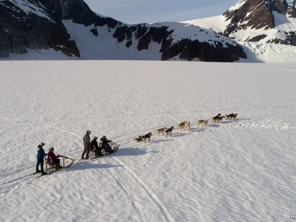Dog Sled Tour - 1