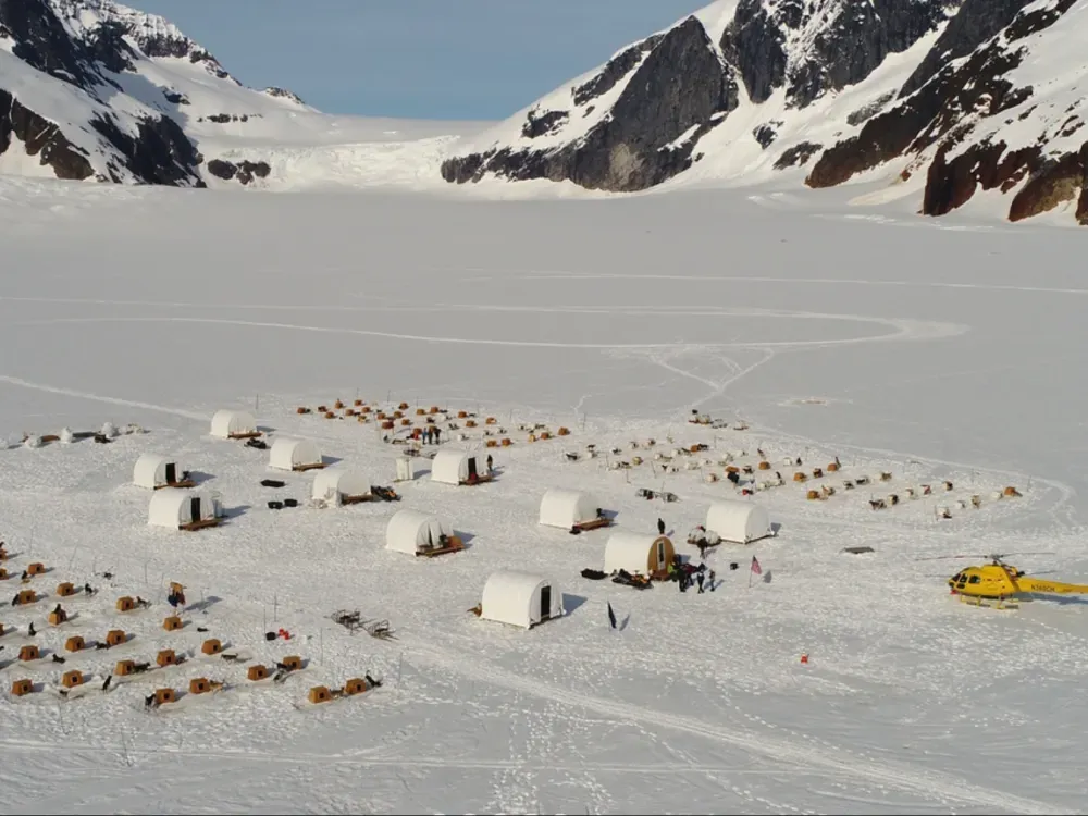 Dog Sled Tour - 2