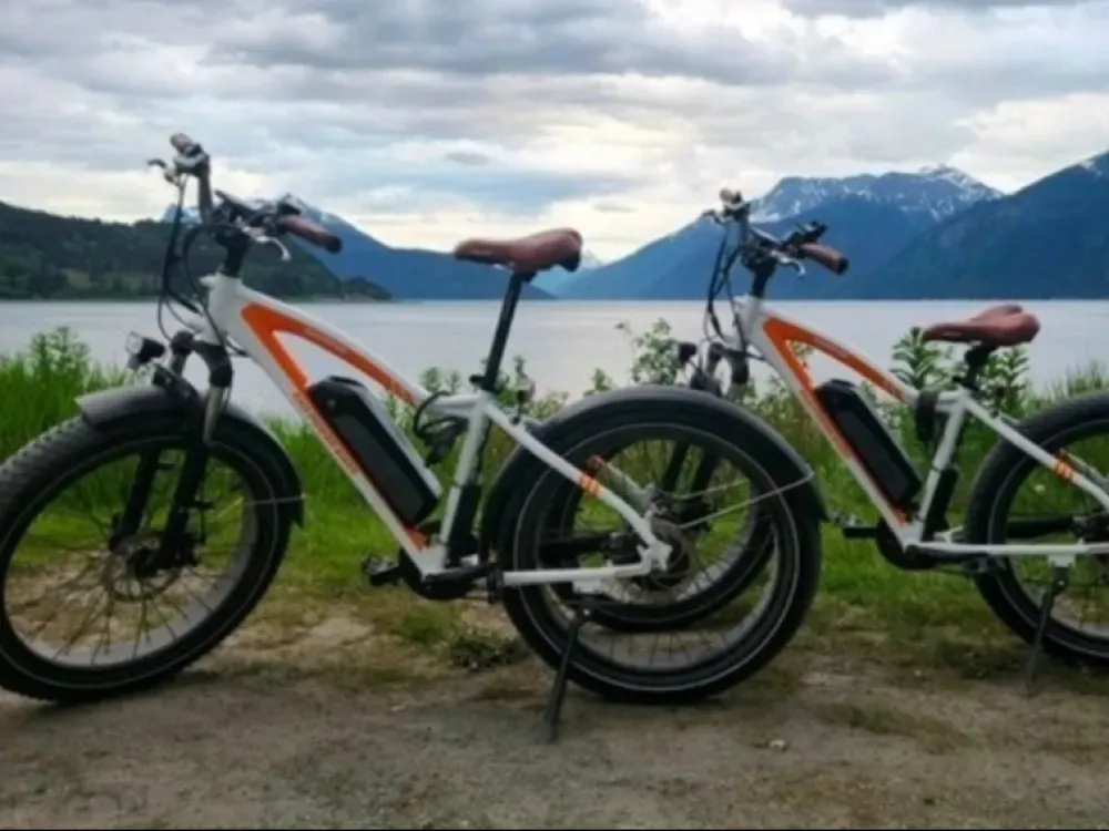 Electric Bike Rental - 4