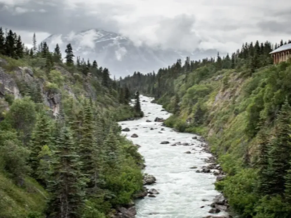 Brave The Bridge: 4 Hour Private Tour - 2