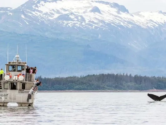 Private Juneau Whale Watching Tour