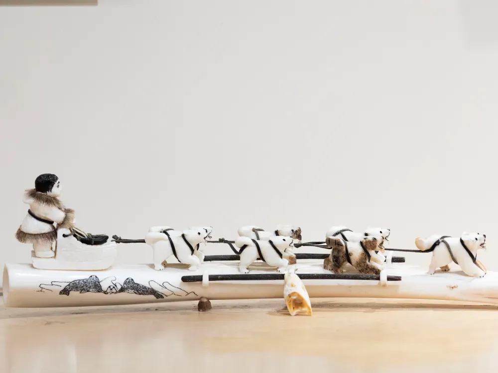 Walrus Tusk Dogsled  - 1