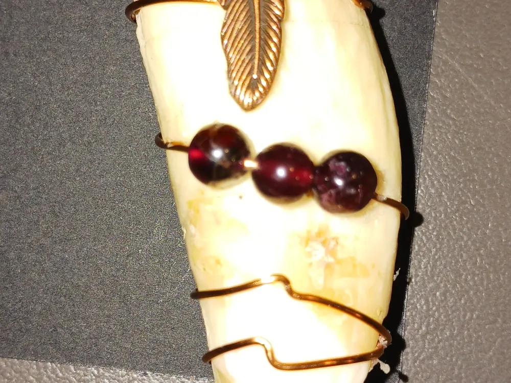 Alaskan Black Bear Tooth Necklace - 3