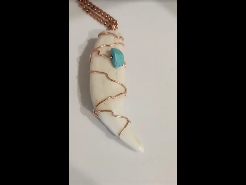 Alaskan Black Bear Tooth Necklace