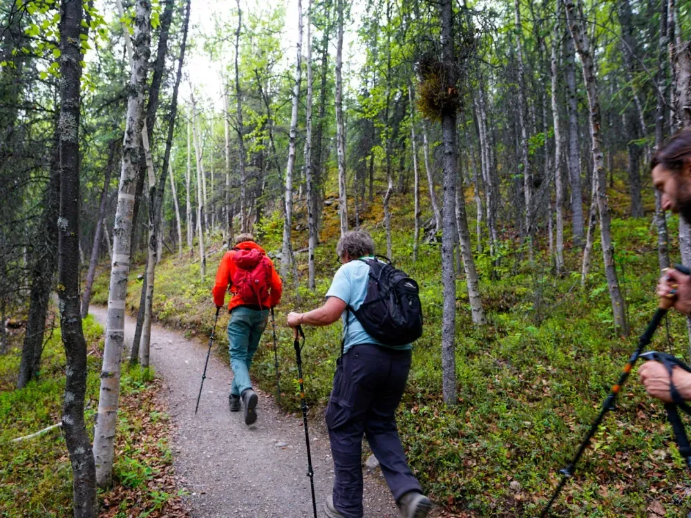 3 Hour Naturalist Walking Tour - 3