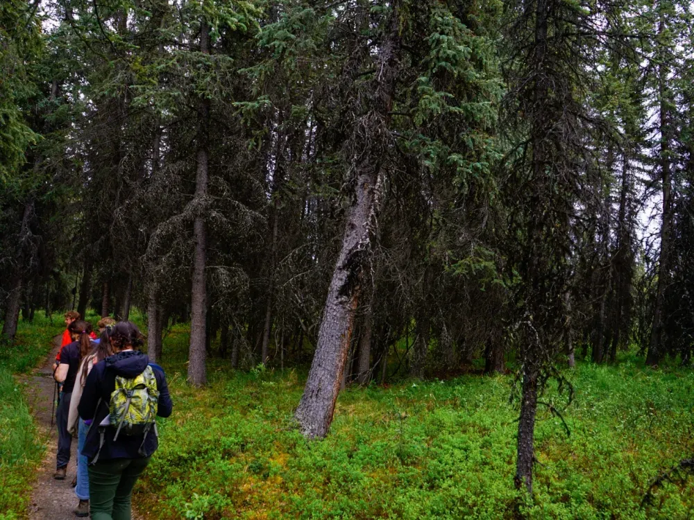 3 Hour Naturalist Walking Tour - 4