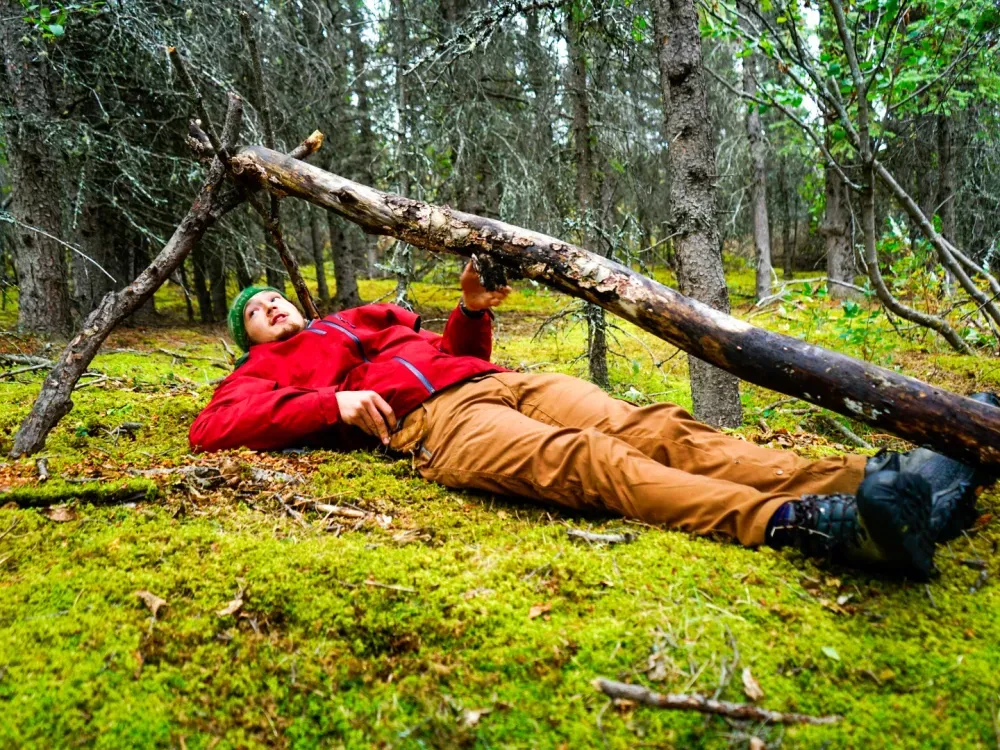 Half-Day Denali Survival Tour - 3
