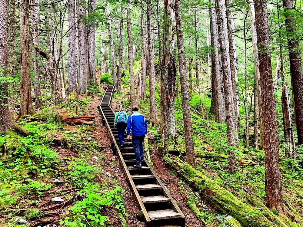 Guided Hike | TONGASS NATIONAL FOREST - 1