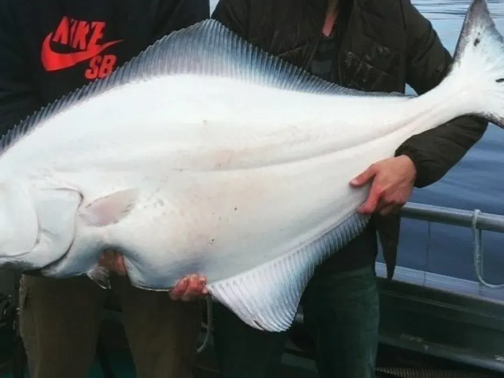 Halibut Fishing Charter - 1
