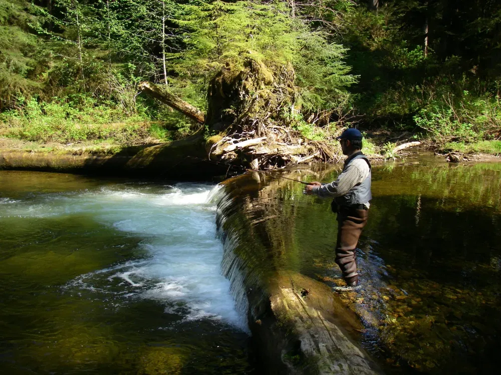 Stream Fishing Charter - 4