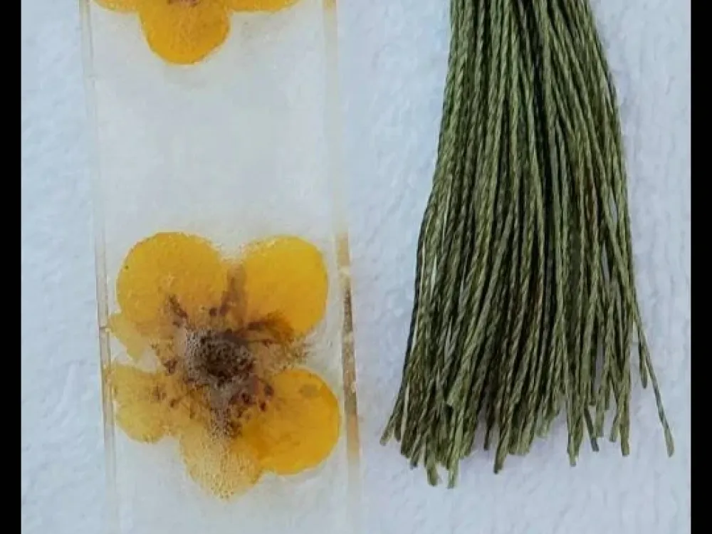 Wildflower Bookmarks - 1