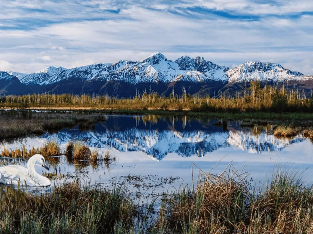 Double Vision Alaska Book - 2