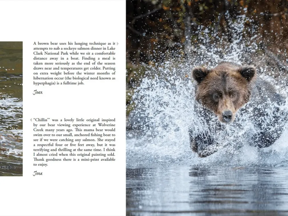 Double Vision Alaska Book - 5