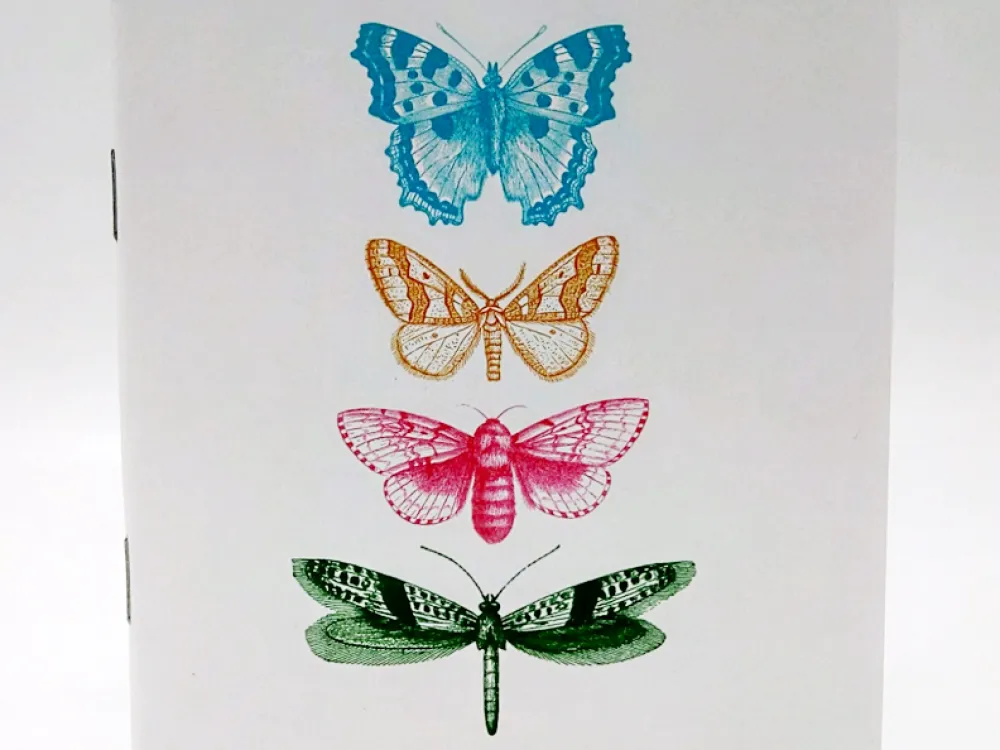 Moths Everyday Notebooks - 4