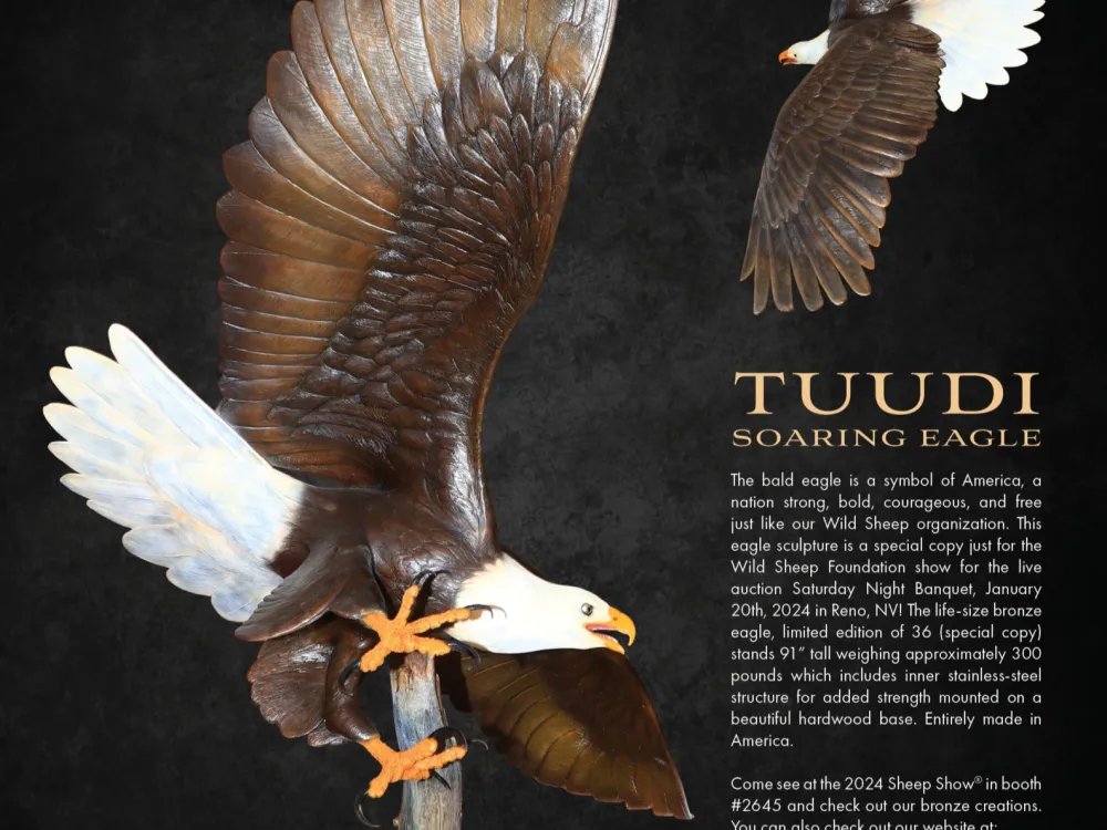 "Pursuit" life-size eagle bronze - 3