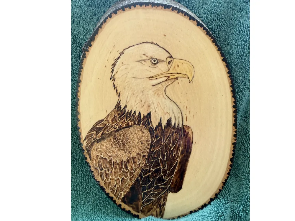 Wood burned picture of Bald Eagle