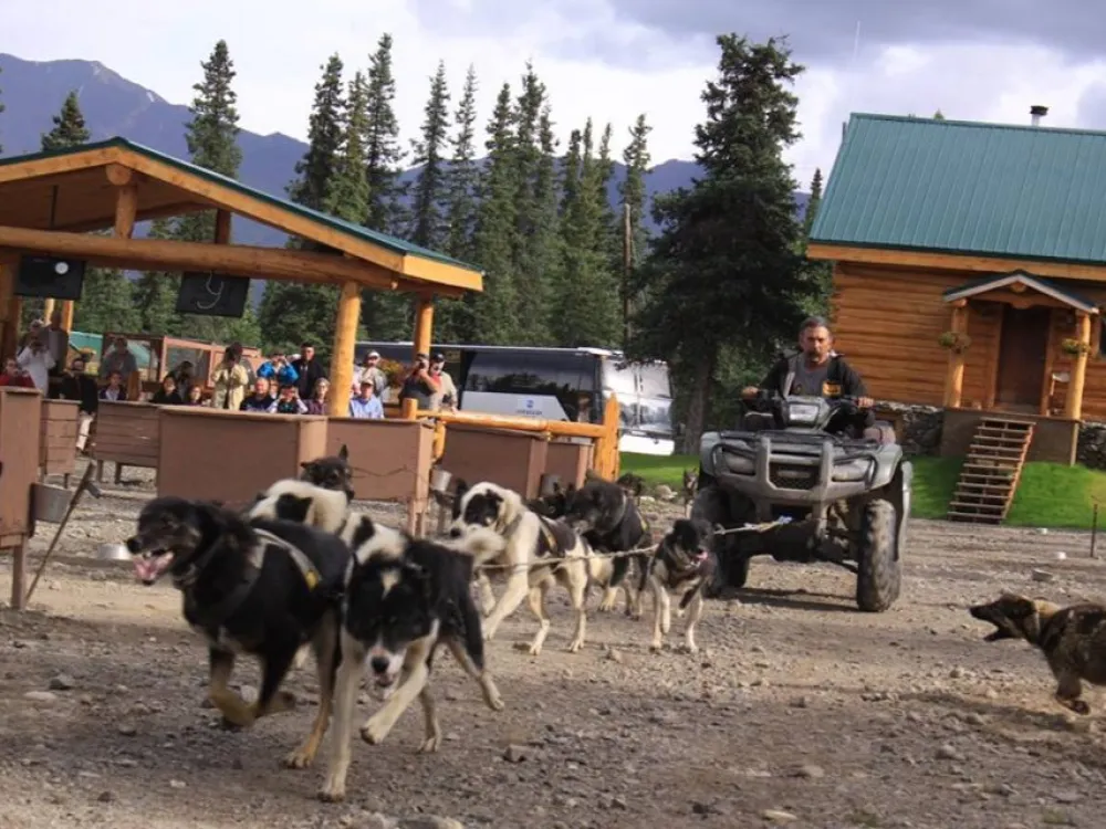 DogGoneIt Dog Mushing Demonstration and Kennel Tour - 3