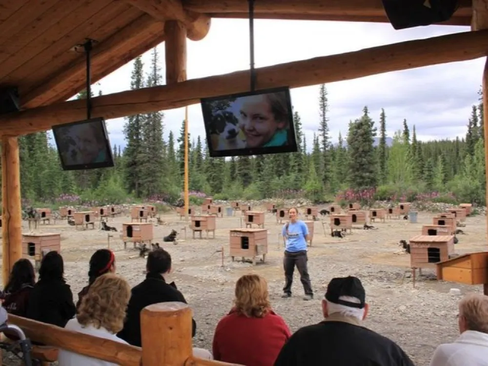 DogGoneIt Dog Mushing Demonstration and Kennel Tour - 4