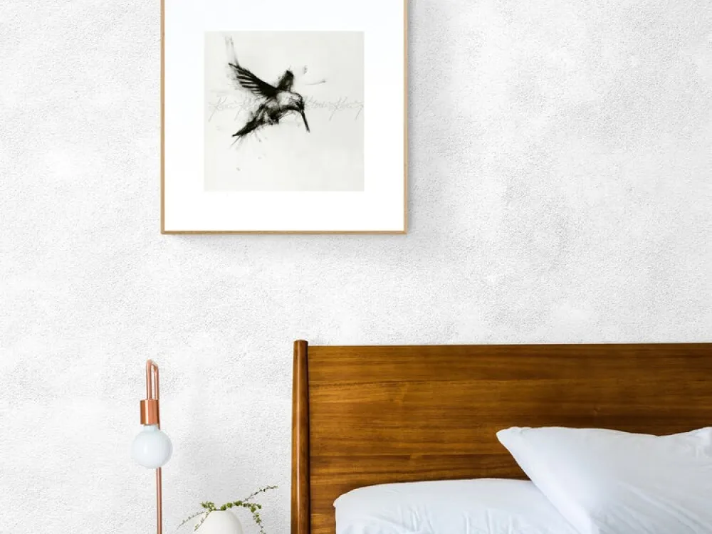 Hummingbird - 1