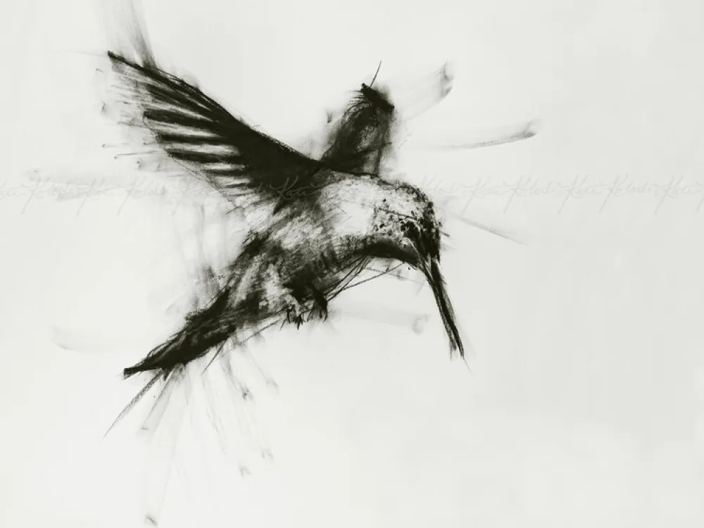 Hummingbird - 2
