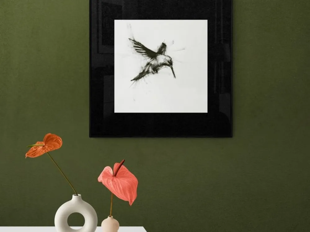 Hummingbird - 3