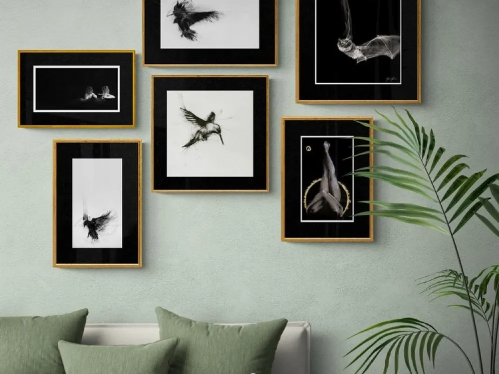 Hummingbird - 4