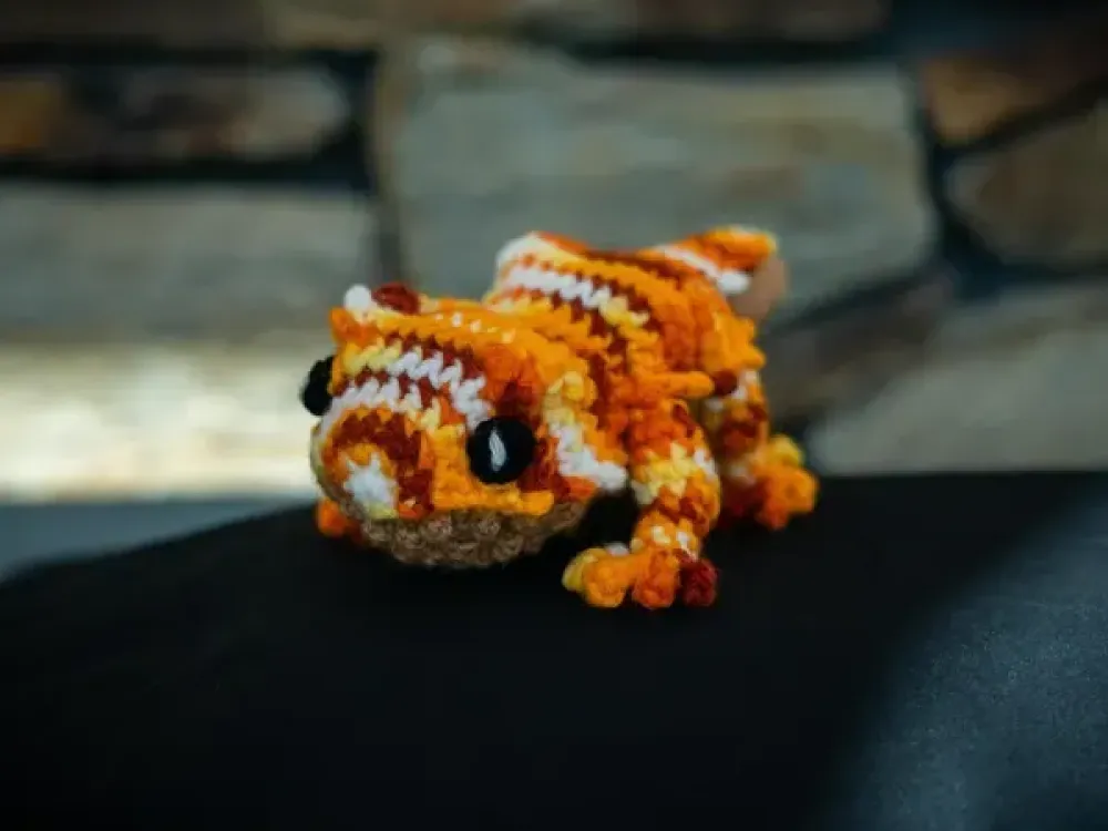Lasagna the Bearded Dragon - 1