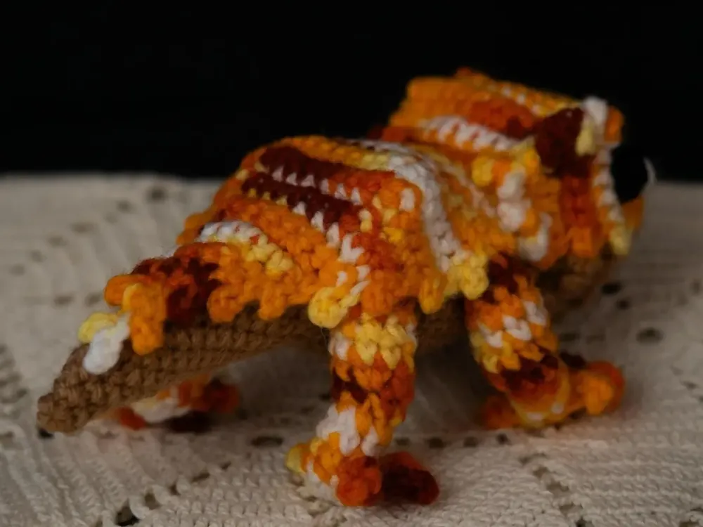 Lasagna the Bearded Dragon - 2