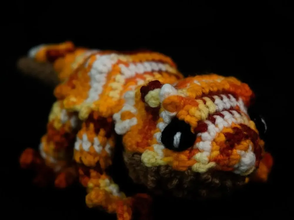 Lasagna the Bearded Dragon - 3