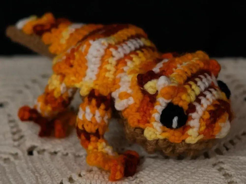 Lasagna the Bearded Dragon - 4
