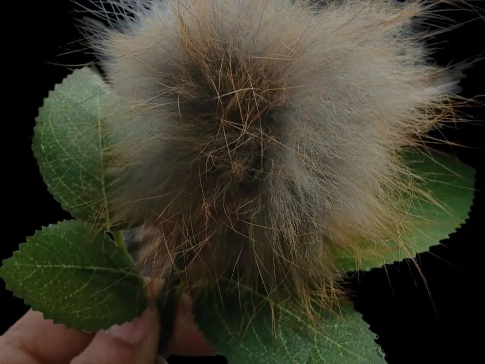 Alaskan Forever Fur Flowers - 4