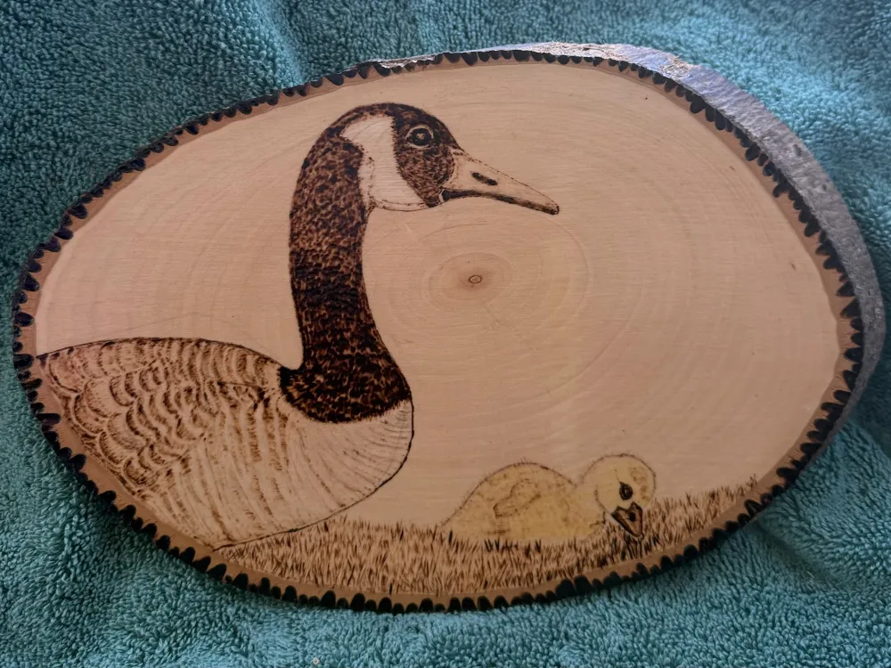 Alaskan animals and scenery wood pictures - 3