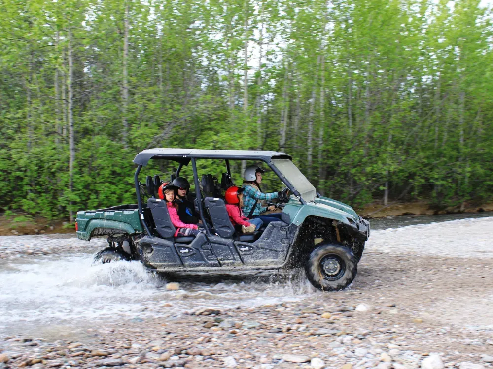 Denali ATV Trailblazer - 5