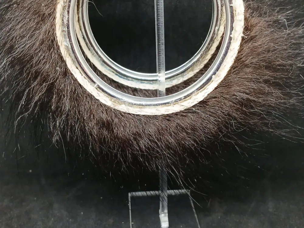 Oversized Black Bear Hoop Earrings - 2