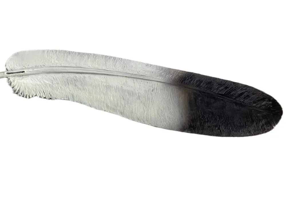 Bronze Eagle Feather life-size - 1
